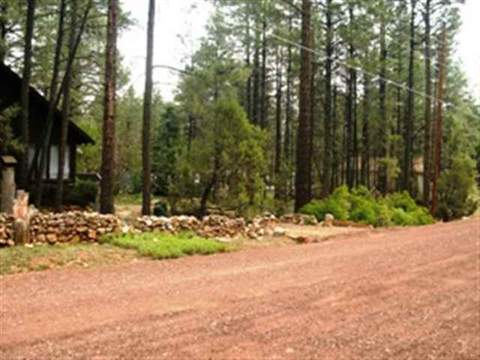 2170 S Woods Dr, Overgaard, AZ 85933 photo 9