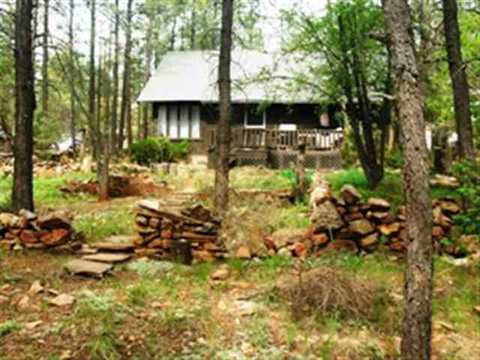 2170 S Woods Dr, Overgaard, AZ 85933 photo 4
