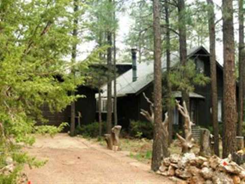 2170 S Woods Dr, Overgaard, AZ 85933 photo 2