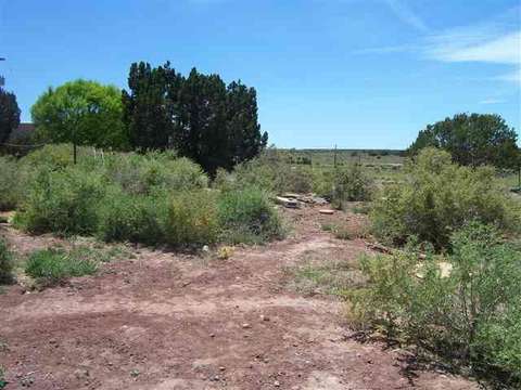 9096 Sharp Trl, Snowflake, AZ 85937 photo 5