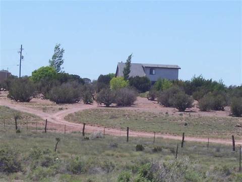 9096 Sharp Trl, Snowflake, AZ 85937 photo 4
