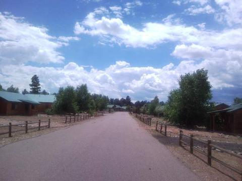 2349 S Buffalo Loop, Overgaard, AZ 85933 photo 6