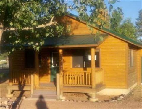 2349 S Buffalo Loop, Overgaard, AZ 85933 photo 1