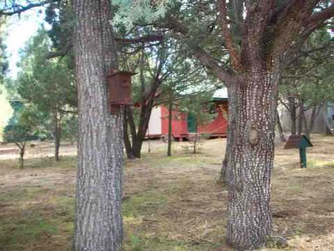2185 S Oval Dr, Overgaard, AZ 85933 photo 3