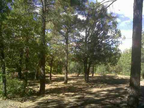 4832 Apache Way, Lakeside, AZ 85929 photo 3