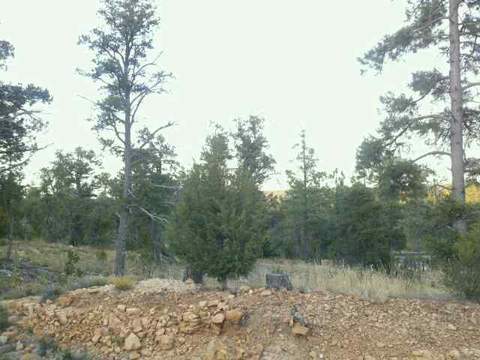 3351 Whisper Ln, Heber, AZ 85928 photo 2