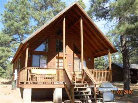 2755 Bear Trl, Overgaard, AZ 85933 photo 1