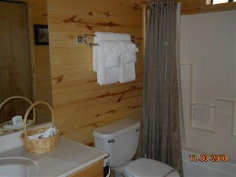 2755 Bear Trl, Overgaard, AZ 85933 photo 3