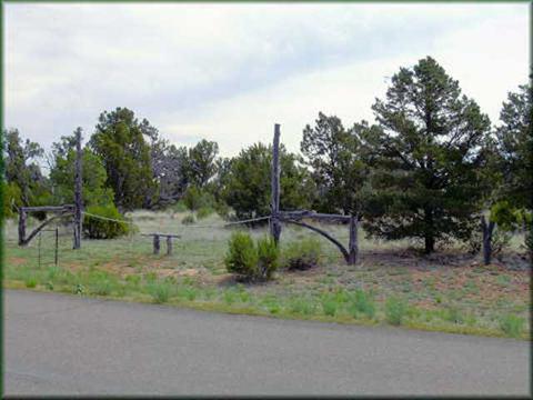 2955 Homestead Dr, Overgaard, AZ 85933 photo 1