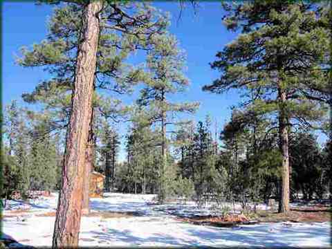 2761 Acorn Trl, Overgaard, AZ 85933 photo 1