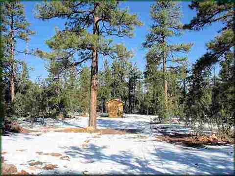 2761 Acorn Trl, Overgaard, AZ 85933 photo 3