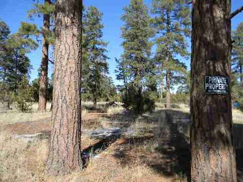 2000 Sunset Trl, Overgaard, AZ 85933 photo 2