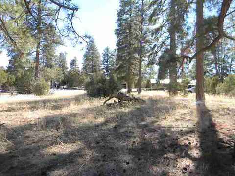 2000 Sunset Trl, Overgaard, AZ 85933 photo 5