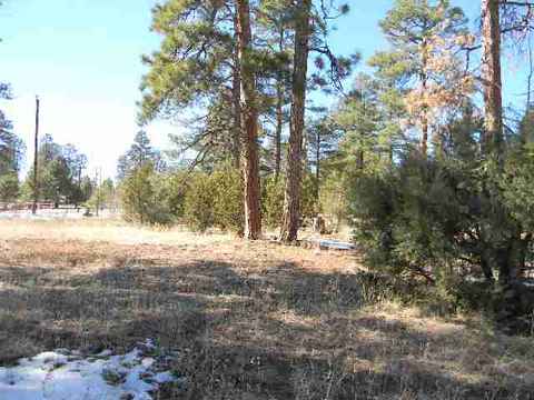 2000 Sunset Trl, Overgaard, AZ 85933 photo 6
