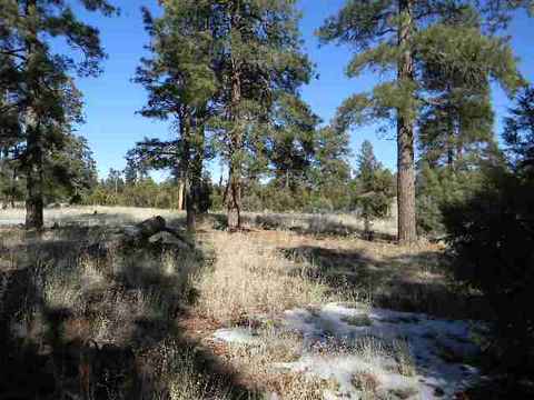 2000 Sunset Trl, Overgaard, AZ 85933 photo 3