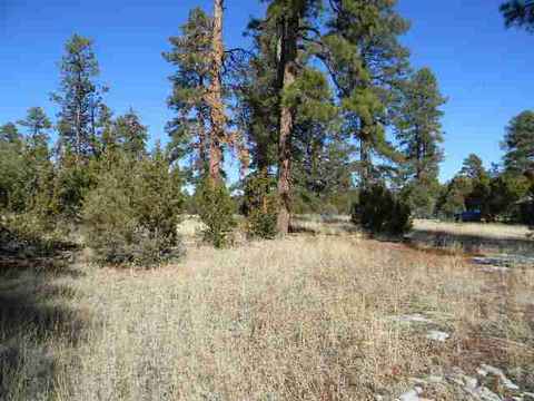 2000 Sunset Trl, Overgaard, AZ 85933 photo 1