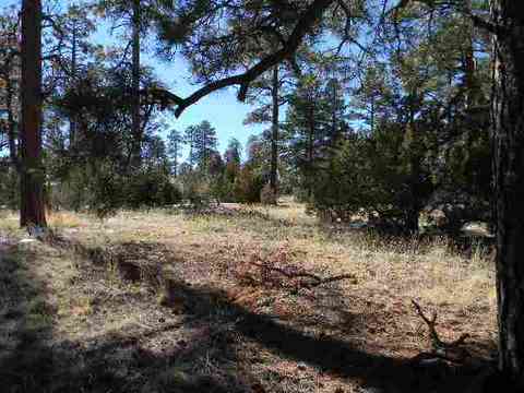 2000 Sunset Trl, Overgaard, AZ 85933 photo 4