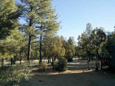 2151 Timber Dr, Overgaard, AZ 85933 photo 9