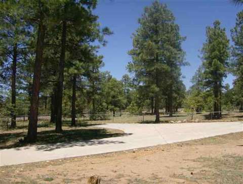 2080 Forest Park, Overgaard, AZ 85933 photo 9