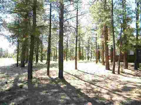 2986 Wapiti, Overgaard, AZ 85933 photo 9