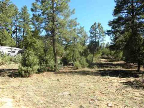 2728 High Ridge Rd, Overgaard, AZ 85933 photo 8