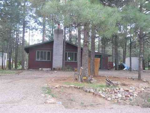 2043 Pinehaven Ln, Overgaard, AZ 85933 photo 1