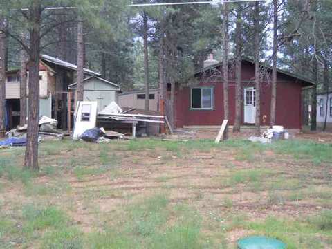 2043 Pinehaven Ln, Overgaard, AZ 85933 photo 6