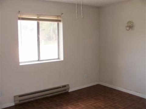 246 E 3rd St, Eagar, AZ 85925 photo 7