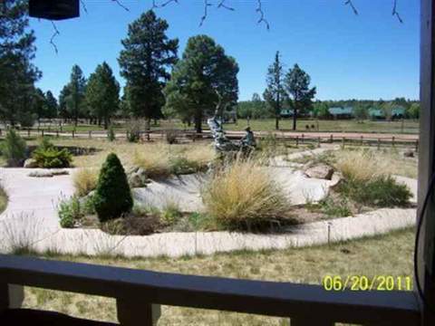 2684 Lodge Loop, Overgaard, AZ 85933 photo 2