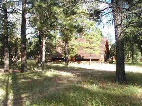 2835 Pine Rim Rd, Overgaard, AZ 85933 photo 8