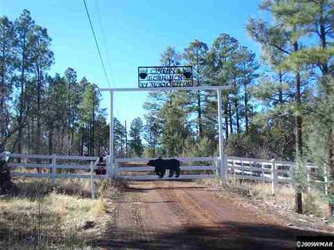 701 Mcsmith, Lakeside, AZ 85929 photo 2