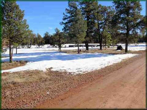 3372 Big Tree Ln, Overgaard, AZ 85933 photo 2