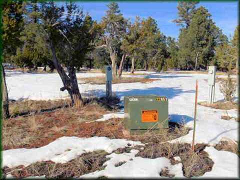 3372 Big Tree Ln, Overgaard, AZ 85933 photo 1