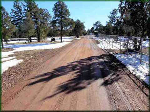 3372 Big Tree Ln, Overgaard, AZ 85933 photo 3