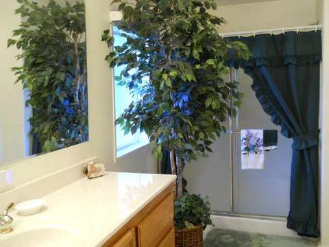 121 Timber Ridge Loop, Show Low, AZ 85901 photo 7