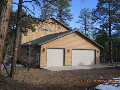 2076 Gilbert, Overgaard, AZ 85933 photo 9