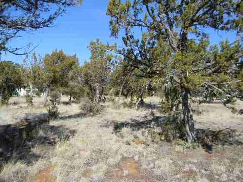 3328 Cedar Dr, Overgaard, AZ 85933 photo 6