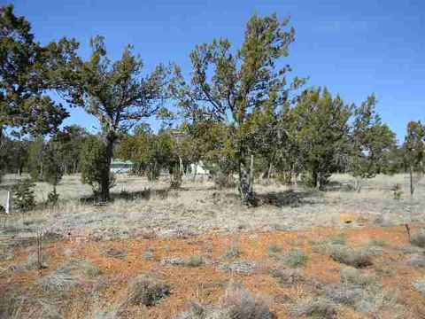 3328 Cedar Dr, Overgaard, AZ 85933 photo 3