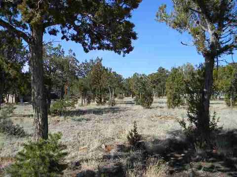 3328 Cedar Dr, Overgaard, AZ 85933 photo 1