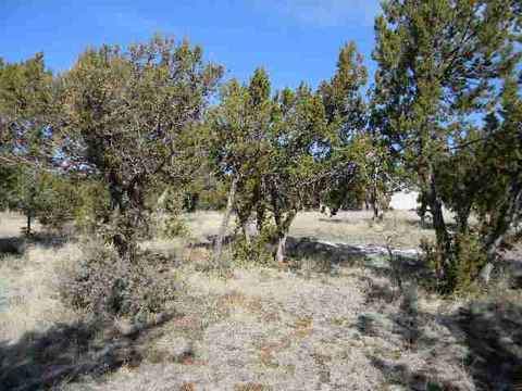 3328 Cedar Dr, Overgaard, AZ 85933 photo 2