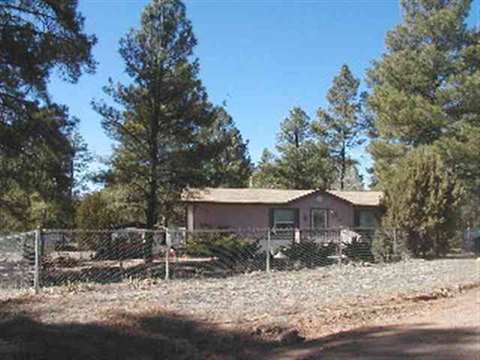 2872 Antelope Trl, Overgaard, AZ 85933 photo 8
