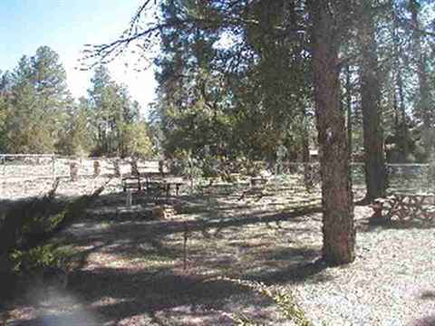 2872 Antelope Trl, Overgaard, AZ 85933 photo 5