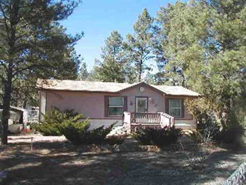 2872 Antelope Trl, Overgaard, AZ 85933 photo 1