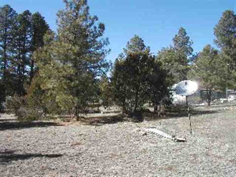2872 Antelope Trl, Overgaard, AZ 85933 photo 7