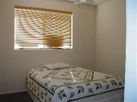 2230 Eagle Ln, Overgaard, AZ 85933 photo 5