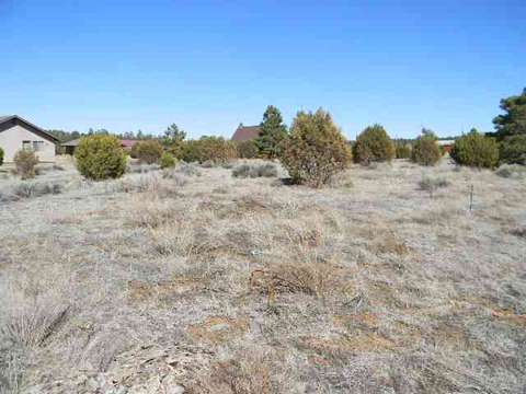 2242 Sitgreaves Dr, Overgaard, AZ 85933 photo 1