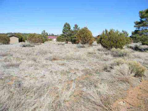 2234 Sitgreaves Dr, Overgaard, AZ 85933 photo 1