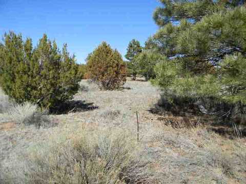 2230 Sitgreaves Dr, Overgaard, AZ 85933 photo 1