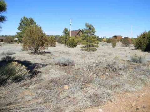 2226 Sitgreaves Dr, Overgaard, AZ 85933 photo 1