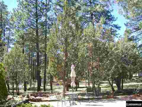 2874 Markham, Overgaard, AZ 85933 photo 5